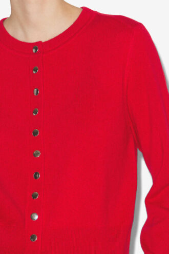 Idesia Merinos Wool and Cashmere Cardigan