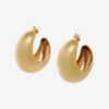 Shiny Crescent Domed Hoop Earrings