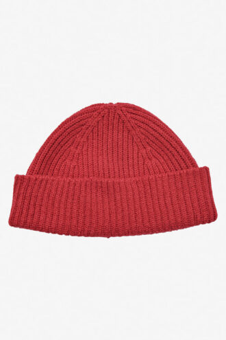 Zamia Short Knit Beanie